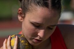 DSC_3517